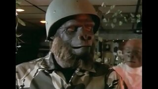 Nan Playmate nan Senj yo