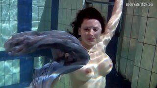 ���ែលទឹទា Katka ច្រូតចុះក្នុងអាងហែលទឹក